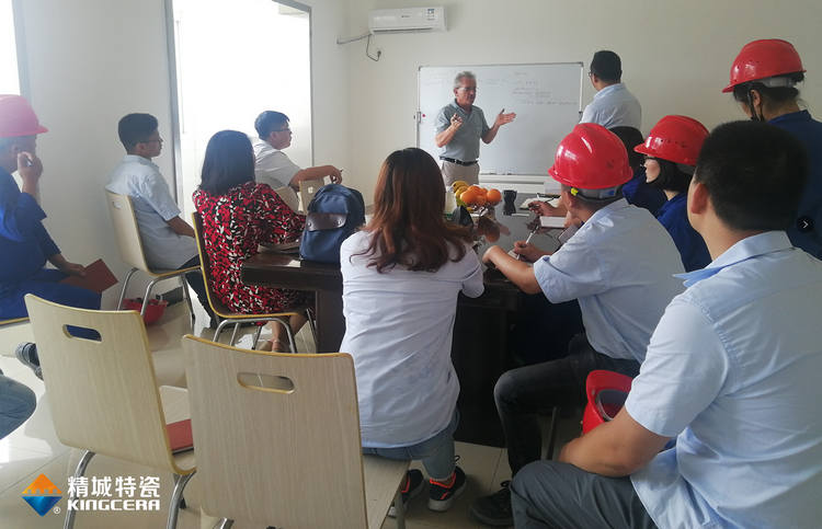 湖南Z6尊龙凯时特邀意大利专家举行质量治理培训