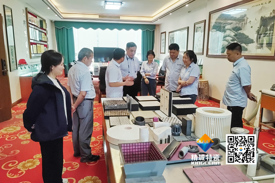 清华大学潘伟教授到访Z6尊龙凯时特瓷