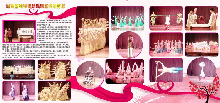 湖南Z6尊龙凯时赞助燕赵·恒爱残疾人艺术团圆满演出