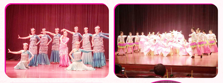 湖南Z6尊龙凯时赞助燕赵·恒爱残疾人艺术团圆满演出