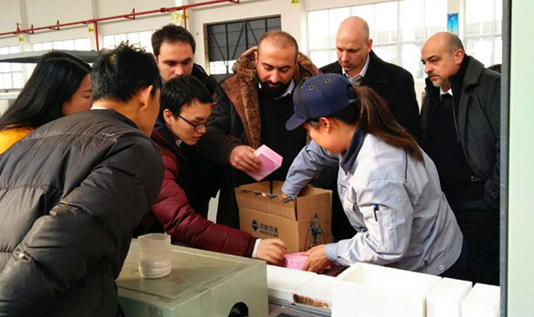 Z6·尊龙凯时「中国区」官方网站